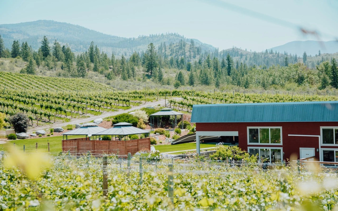 Picture of fields at Meyer Family Winery