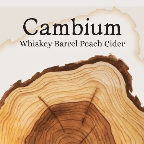 Cambium Cider Co - Whisky Barrel Peach Cider