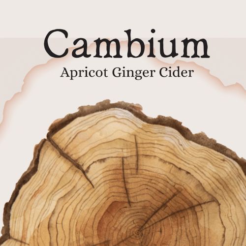 Cambium Cider Co - Apricot Ginger Cider