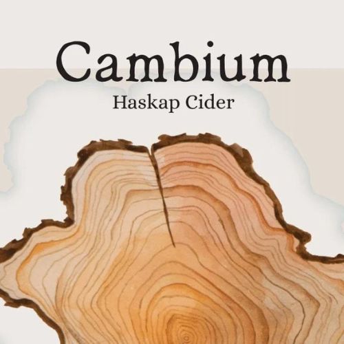 Cambium Cider Co - Haskap Cider