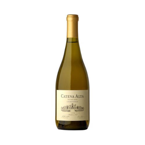 Catena - Alta Mendoza Chardonnay