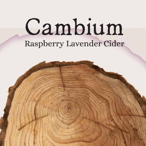 Cambium Cider Co - Raspberry Lavender Cider
