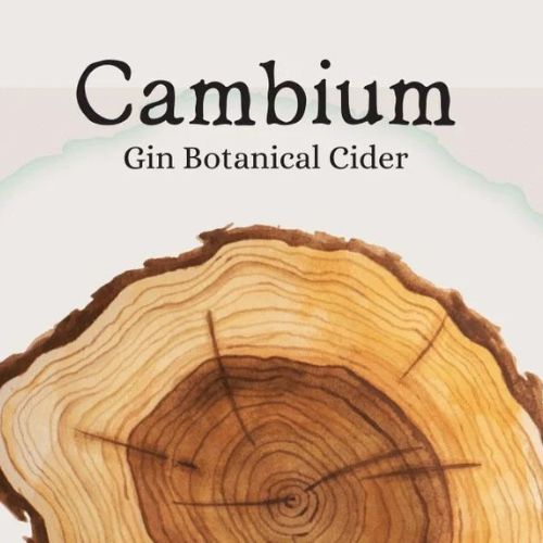 Cambium Cider Co - Gin Botanical Cider