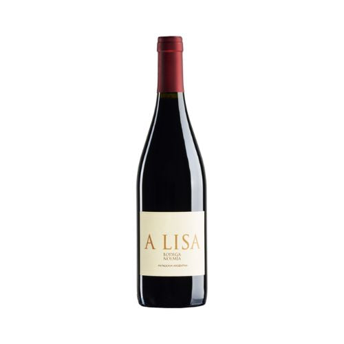 Bodega Noemia - A Lisa Patagonia Malbec