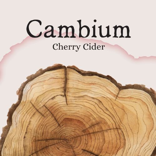 Cambium Cider Co - Cherry Cider