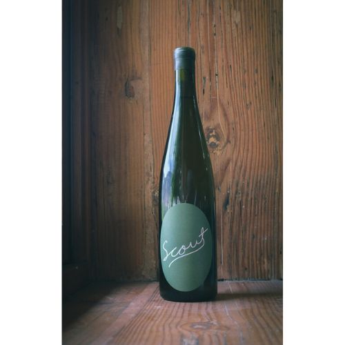 Scout Vineyard - Riesling
