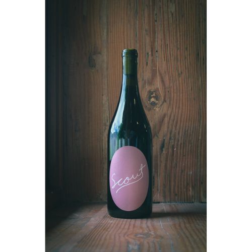 Scout Vineyard - Syrah