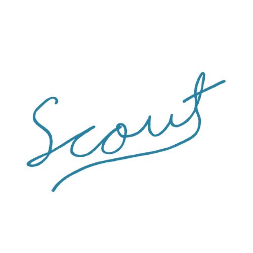 Scout Vineyard