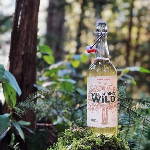 Salt Spring Wild - Hopped Apricot Cider