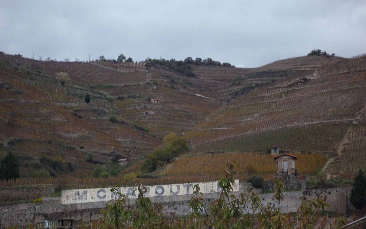 Picture of Chapoutier vineyards in the Rhône Valley