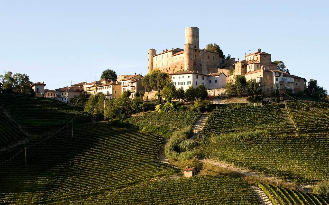 Picture of Vietti's vineyards in the Piedmont