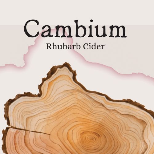 Cambium Cider Co - Rhubarb Cider