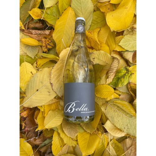 Bella Wines - Village Sparkling Blanc