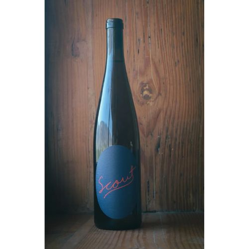 Scout Vineyard - Orange