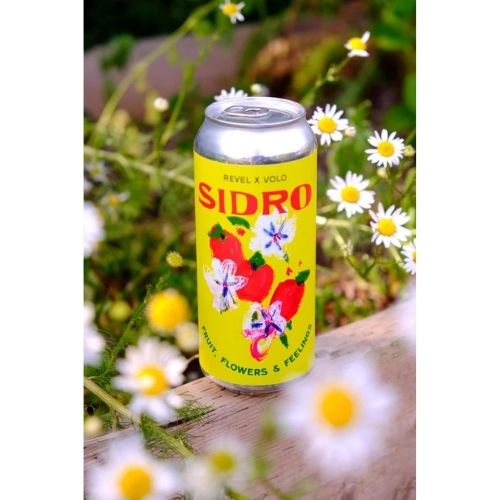 Revel Cider Co - Sidro