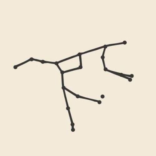 Ursa Major Winery - Logo