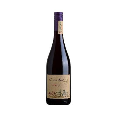 Cono Sur - Organic Pinot Noir